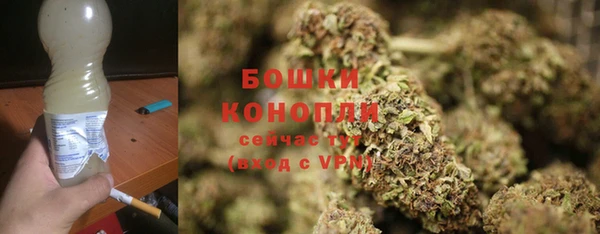 прущий лед Нея