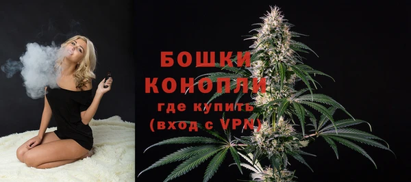 дживик Нефтекумск