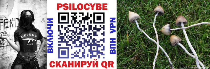 сколько стоит  Нестеровская  Псилоцибиновые грибы GOLDEN TEACHER 